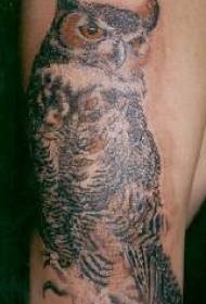 Modello realistico realistico del tatuaggio del gufo