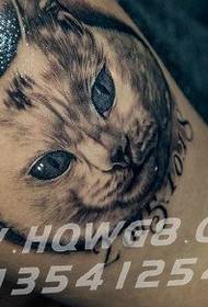 Leg cat tattoo pattern