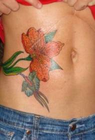 Buik kleurrijke vogels en bloemen tattoo patroon
