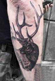 Briedžio rago tatuiruotė Įvairūs juodos pilkos spalvos tatuiruotės įgėlimo gudrybės 麋 elnių tatuiruotės modelis