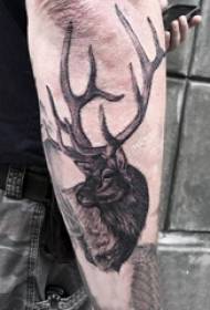Tatoo Elk corni Divès kalite ke trik nouvèl gri nwa greve tr modèl tatoo corn
