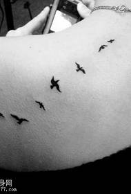 Modello di tatuaggio uccello femmina spalla