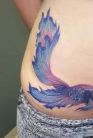 Betta tattoo design مجموعة ذكية وجميلة من تصاميم وشم السمك