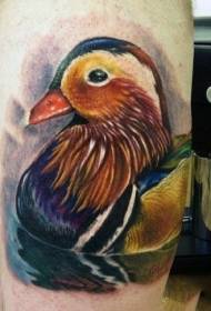 Uyluk güzel gerçekçi stil renkli ördek dövme deseni