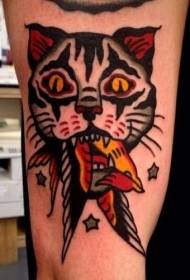 Kucing nyekel pola tato warna manuk