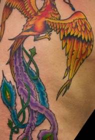 Modello di tatuaggio dipinto uccello e collana Phoenix