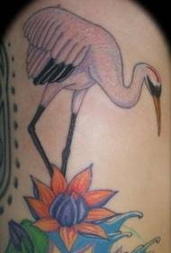 Modello di tatuaggio colorato con ninfee e gru coronata di rosso