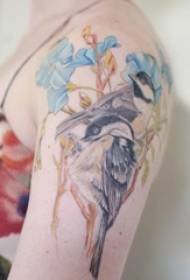 Ученичка ръка рисувана върху градиент прости линии растителни цветя и снимки на птица татуировка
