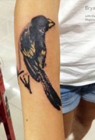ذراع الصبي على رسم أسود رمادي الإبداعية صورة لطيف الطيور الوشم