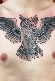 Menino peito ponto preto espinho linha simples personalidade pequeno animal coruja tatuagem ilustração