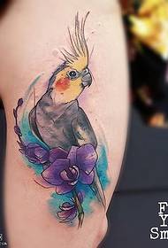 Patrón de tatuaje de pájaro carpintero color agua