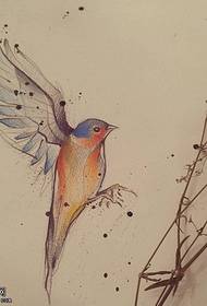 手稿的彩绘素描鸟纹身图案