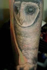 Jonges keatse op swartgriis punt doorn ienfâldige line lytse dierlike tatoeëringsfoto