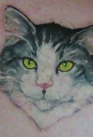Modello di tatuaggio ritratto di gatto dagli occhi gialli