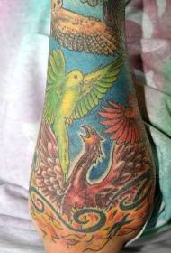Braccio colorato vari uccelli tatuaggio modello