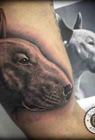 Realistični stil psa portret tetovaža uzorak