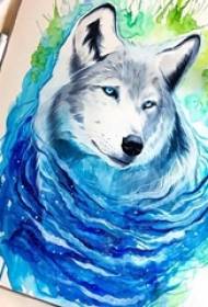 Pentrita akvarelo skizo splash inko krea lupo kapo tatuaje manuskripto