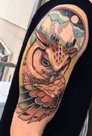 Owl Tattoos: Kuonga seti yezvinyorwa zvemanyow uye ma tattoos