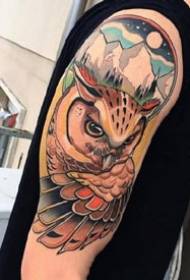 Litaba tsa Owl: Kananelo ea letoto la mengolo e ngotsoeng ka letsoho ea owl le li-tattoo