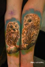 Mtundu wowonera mtundu wa owl mtundu wa tattoo