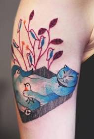 Šareni skup slika umjetničkih tetovaža mačaka