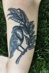 Siswa laki-laki betis pada titik hitam garis abstrak tanaman dan gambar tato burung