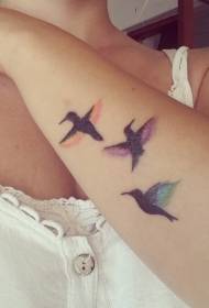 Arm tricolor bird tattoo tattoo