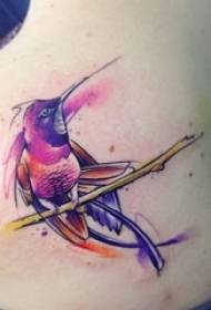 Girl shoulder painting abstract lines small animal hummingbird tattoo picture