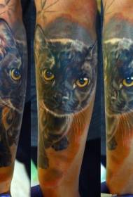 بازو الگوی تاتو گربه واقع گرایانه وحشت زده را نقاشی کرد