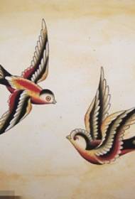 رسمت رسم شخصية خلاقة الأدبية الصغيرة الطازجة الطيور وشم مخطوطة
