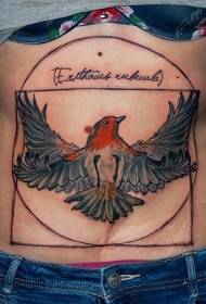 Estil d’il·lustració d’abdomen diverses figures geomètriques i lletres patró de tatuatge d’aus