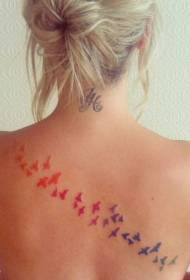Girl's back beautiful bird tattoo pattern