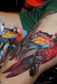 Colorful parrot tattoo pattern on thigh