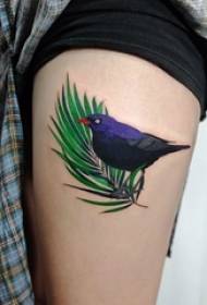 Muslos de colegiala pintaron hojas de plantas y fotos de tatuajes de aves de animales pequeños