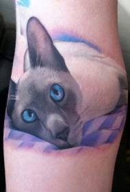 القط الجميل مع عيون زرقاء وشم نمط