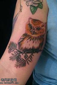 Chithunzithunzi cha Arm owl