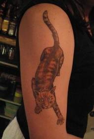 手臂一只野猫纹身图案