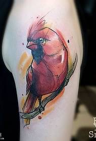 Spalle dipinte di tatuaggio di uccellu
