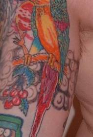 Modello tatuaggio pappagallo colorato braccio grande