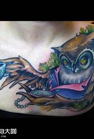 Chest huji tsarin