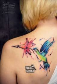 Мал свеж сет на модели на тетоважа на птици со акварел што летаат