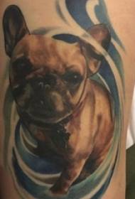 Ragazzi armi dipinte gradiente linee astratte semplici immagine tatuaggio piccolo cane animale