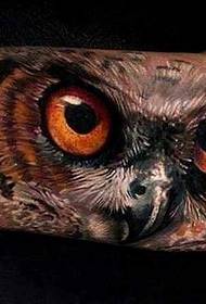 Trendy owl tatini