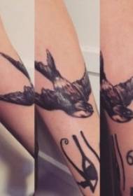 Uma variedade de formas diferentes e desenhos de tatuagens de pássaros vívidos