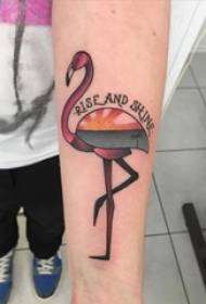 Een set van eenvoudige persoonlijkheidslijnen tattoo flamingo tattoo klein dier tattoo patroon Daquan