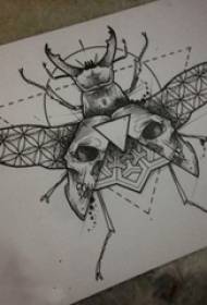 Černá šedá skica kreativní jemný hmyz malý zvíře tetování rukopis