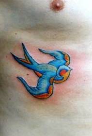 Modello di tatuaggio rondine blu petto maschile