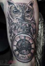 Boys Arms on Black Grey Sketch Sting Советы Творческий Сова животных и карманные часы татуировки фото