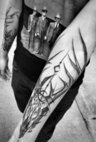 Insieme grigio nero di modelli di tatuaggio testa di cervo