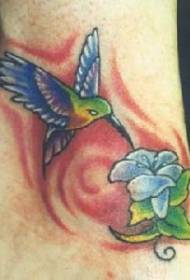 Kolibrio ir gėlių spalvos tatuiruotės modelis